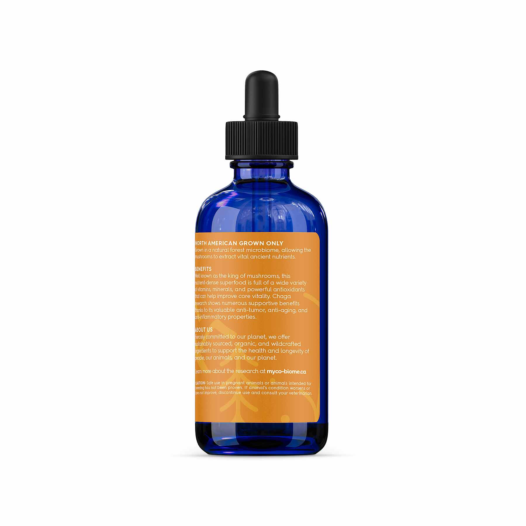 Chaga Mushrooms for Cats & Dogs | Liquid Triple Extract